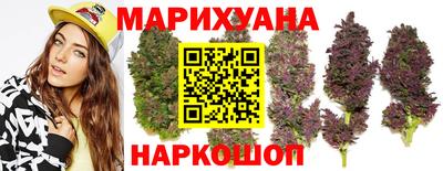 шишки Кинель