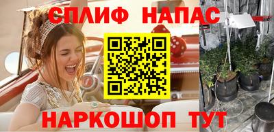 шишки Кинель