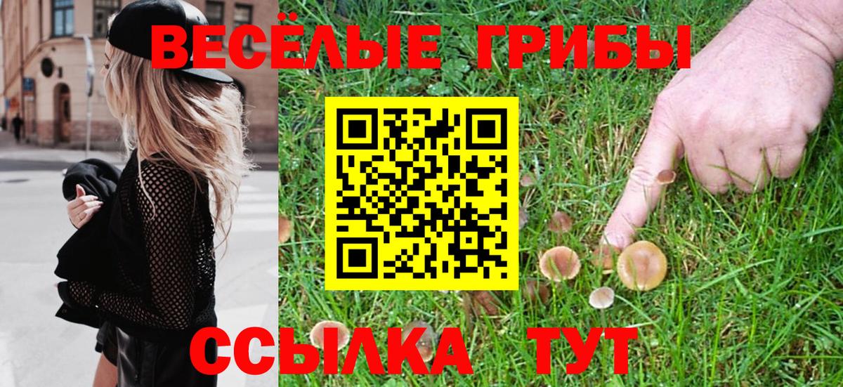 Галлюциногенные грибы Magic Shrooms Волгодонск